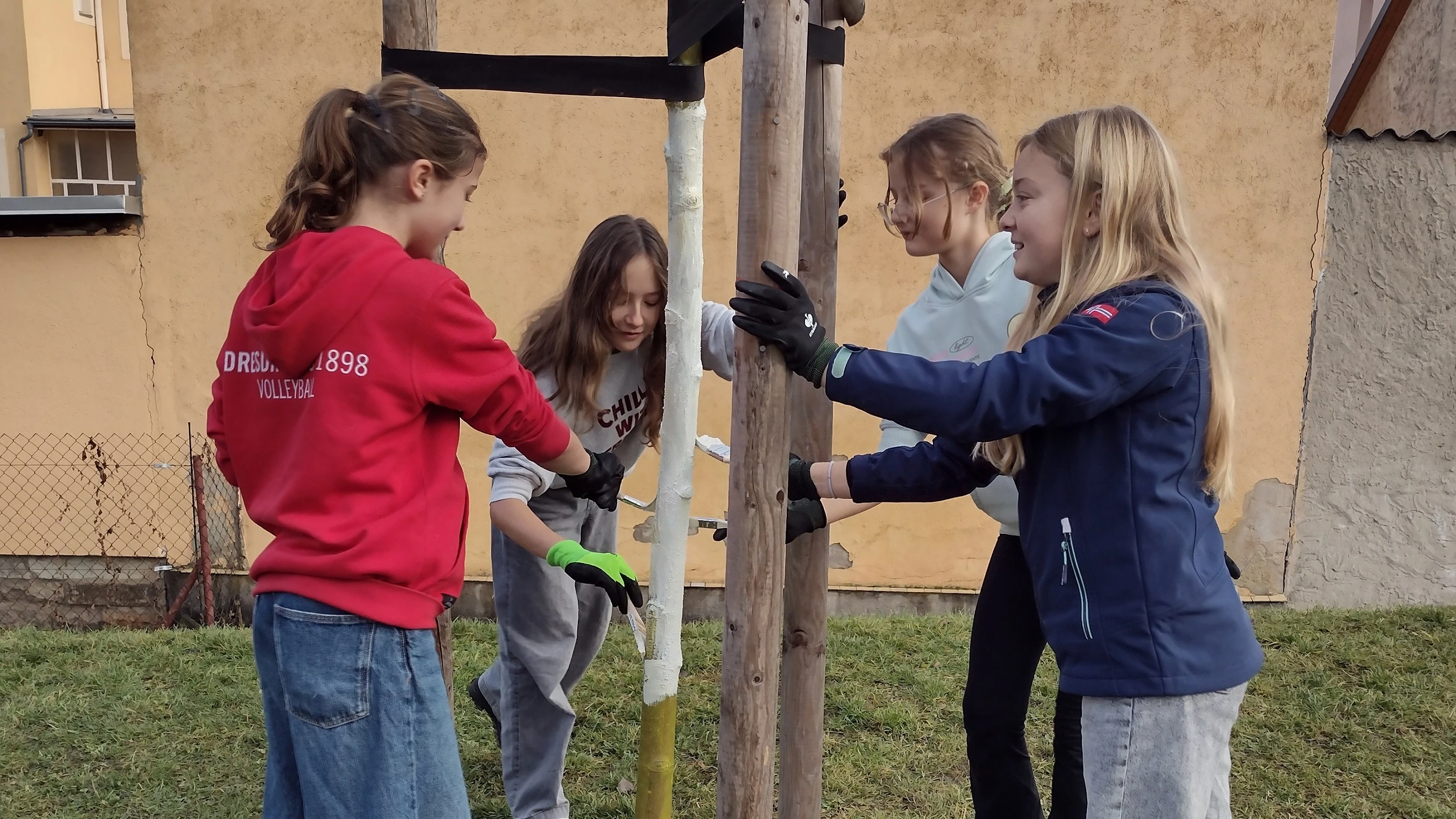 Weißanstrich wird auf Baumstamm aufgetragen